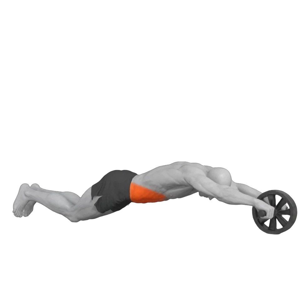Animación de Rueda Abdominal en Nuvana
